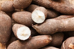 Cassava from Philippines